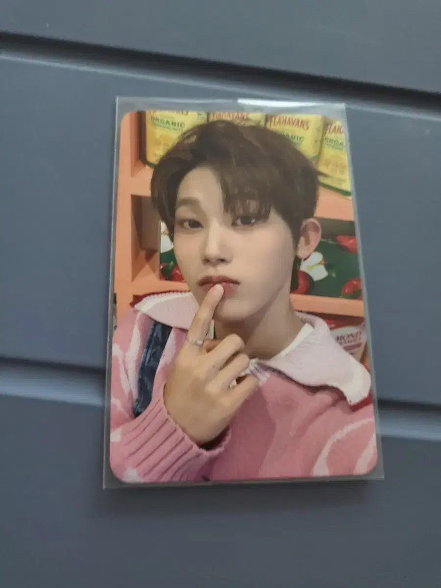 더윈드 시즌그리팅한빈포카