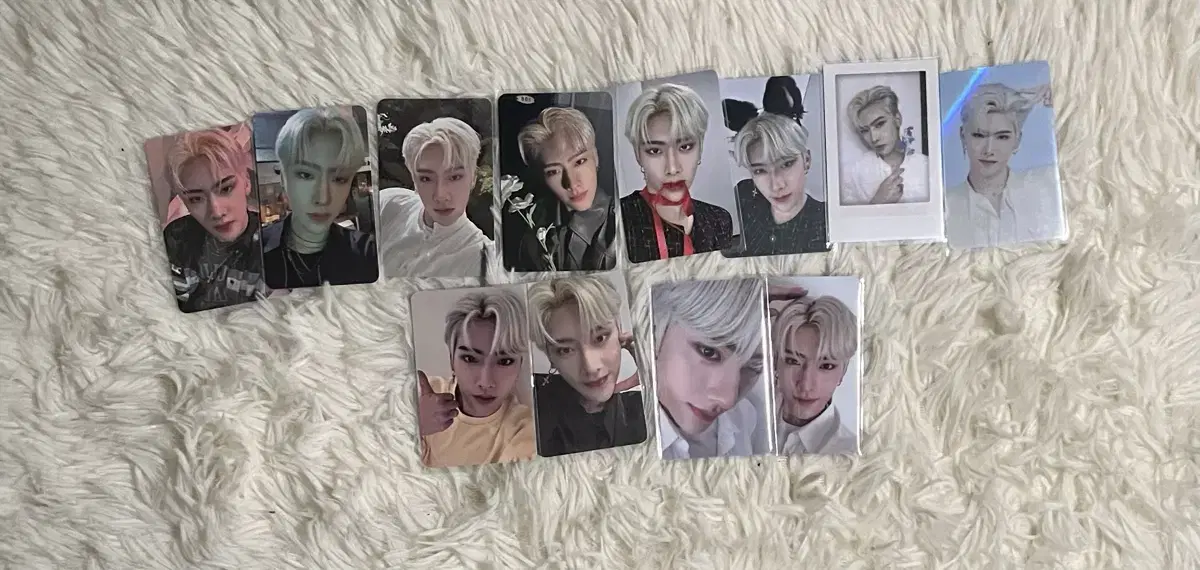 제베원 리키 1집 포카 앨포 미공포 일괄 고양이 강아지귀 얼빡 리본 따봉