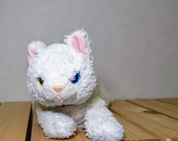 산레몬 무릎 고양이(S) 외눈박이 봉제 인형