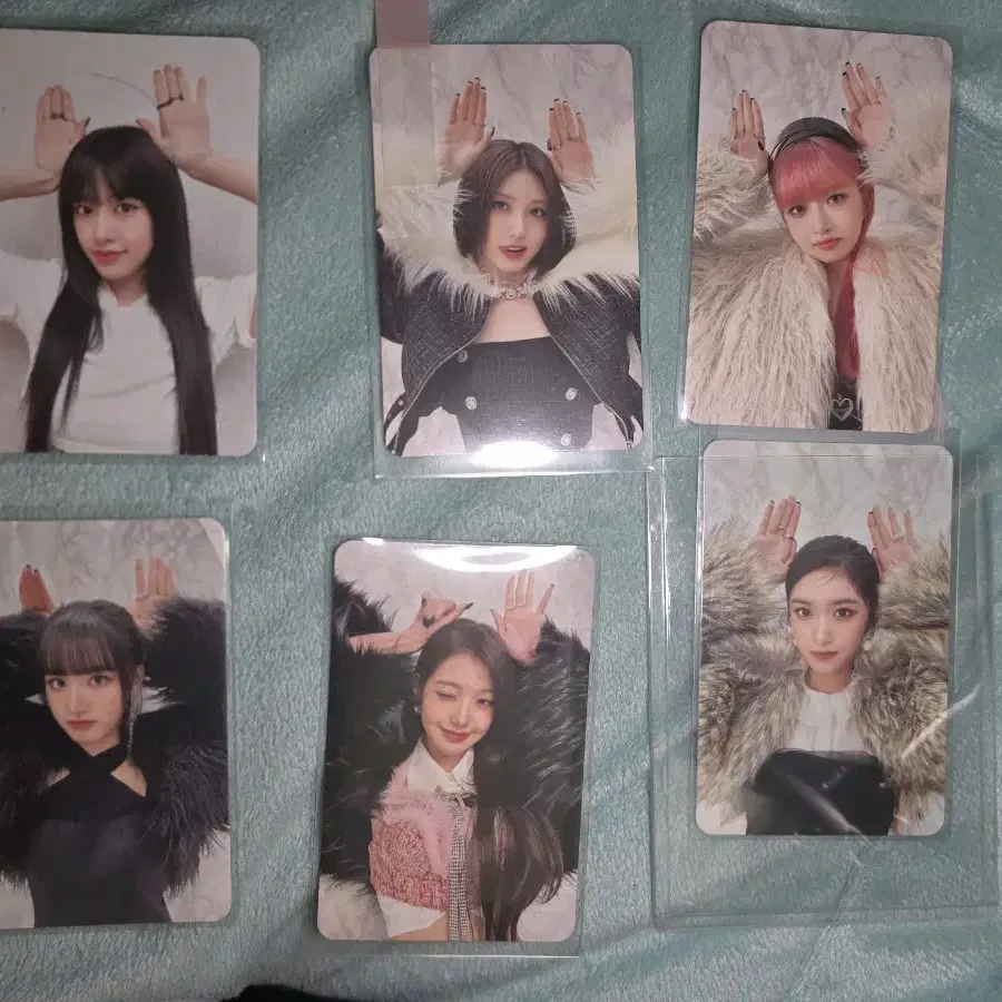 아이브 스페셜포카 일괄