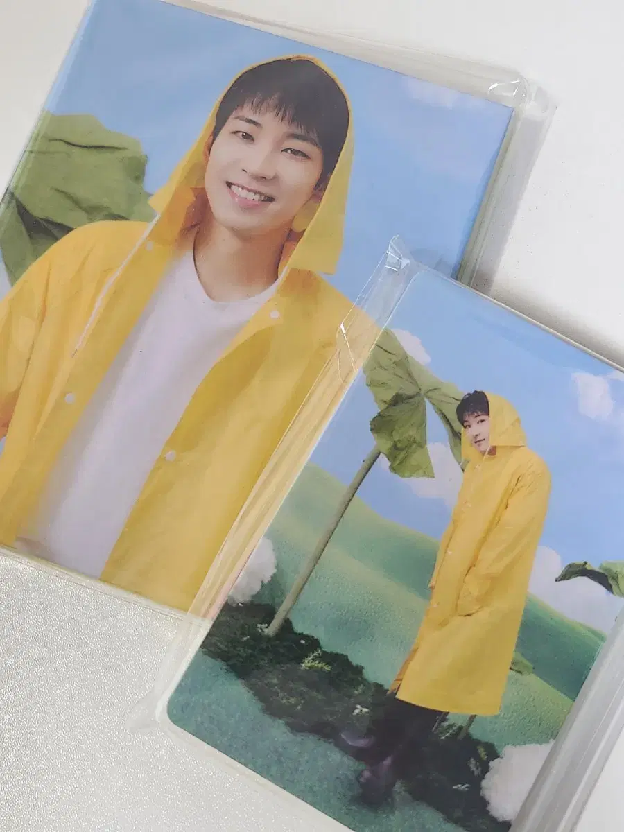세븐틴 헤븐 캐럿반 바인더 원우