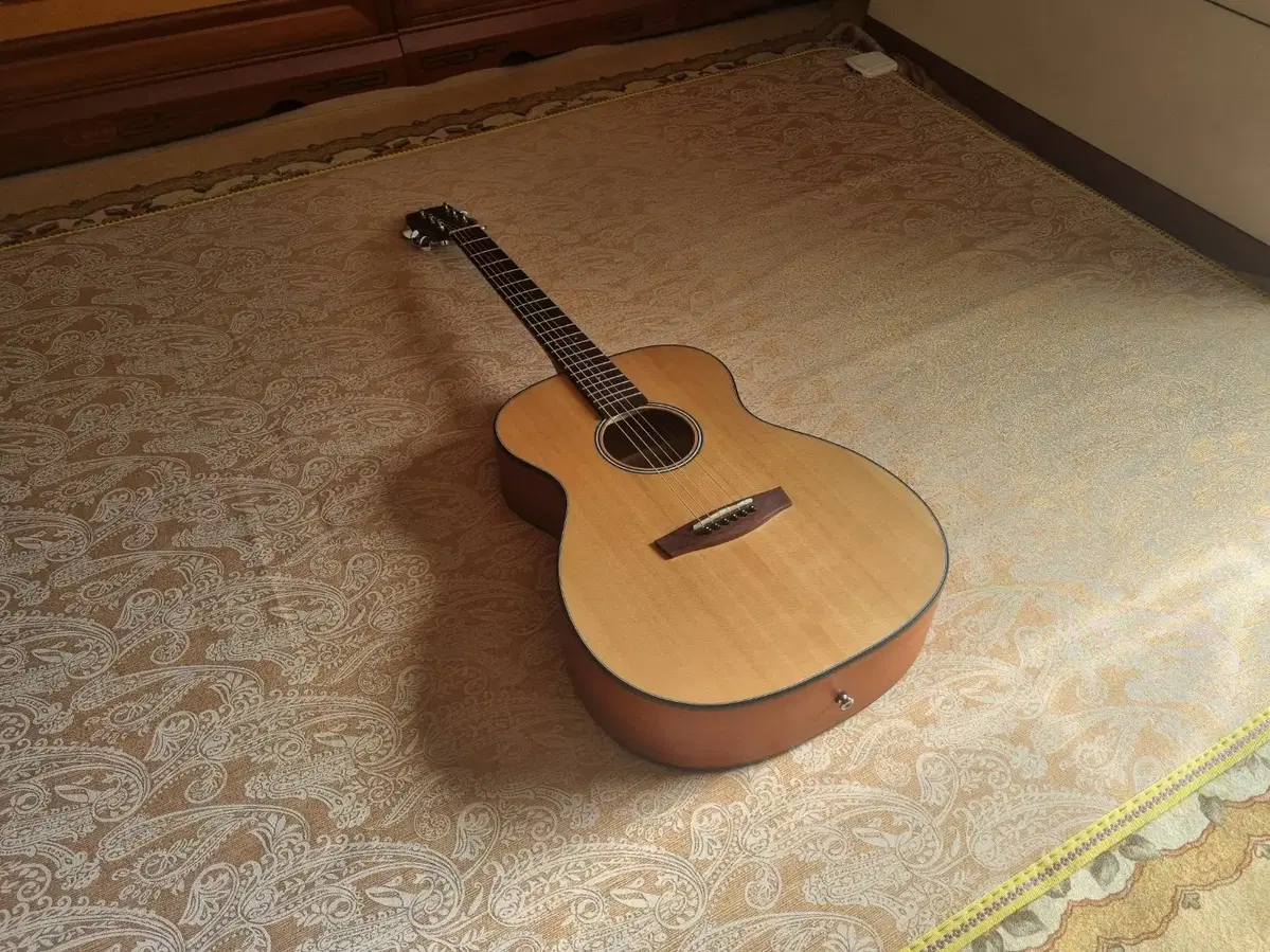 We sell the best-selling guitar with the OM body for beginners.