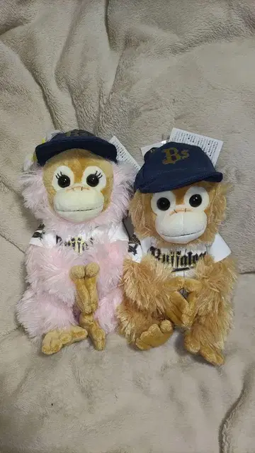 베이비 코코&너츠 베이비 코코&너츠 택 포함 버펄로스