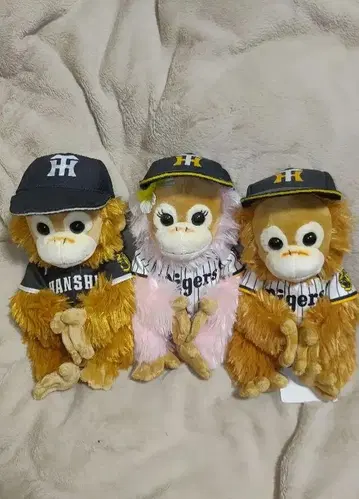 베이비 코코&너트 베이비 코코&너트 일부 택 포함 타이거스