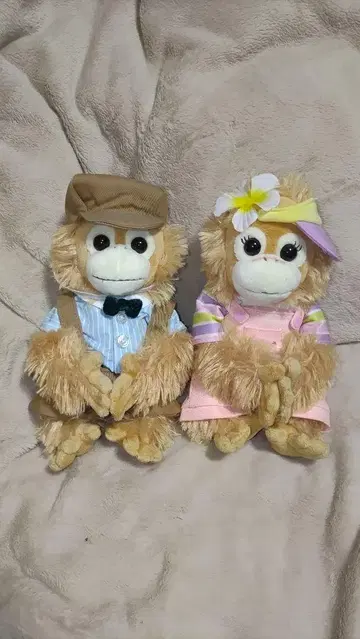 베이비 코코&너트 베이비 코코&너트 택 없음