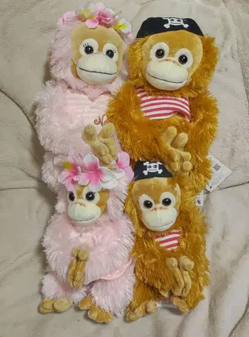 베이비 코코&너트 베이비 코코&너트 택 포함 아일랜드