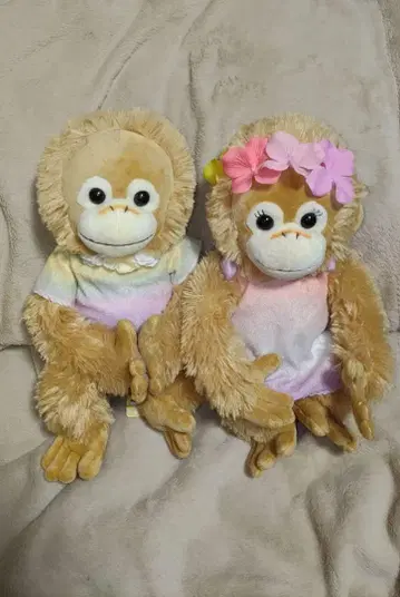 베이비 코코&너트 베이비 코코&너트 한쪽 택 포함 하와이