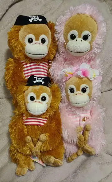 베이비 코코&너트 베이비 코코&너트 일부 택 포함