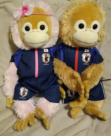 베이비 코코&너트 택 없음 축구