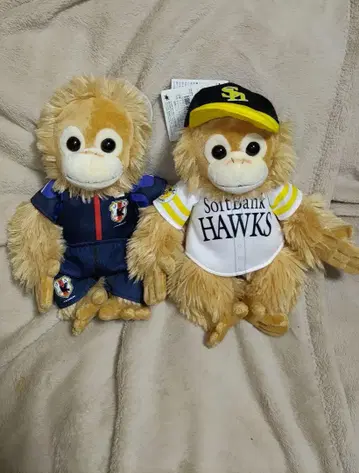 베이비 코코&너트 택 포함 축구 야구