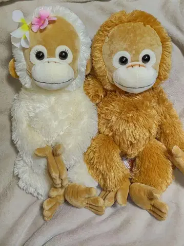 베이비 코코&너트 베이비 코코&너트 한쪽 택 포함 내추럴 M