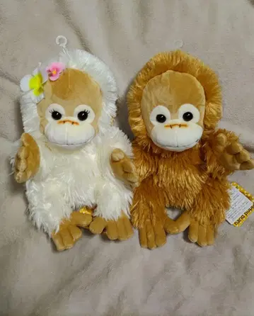 베이비 코코&너트 베이비 코코&너트 택 포함 퍼펫