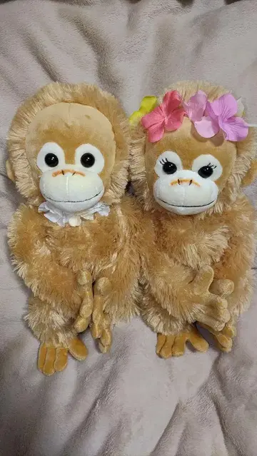 베이비 코코&너트 베이비 코코&너트 택 포함