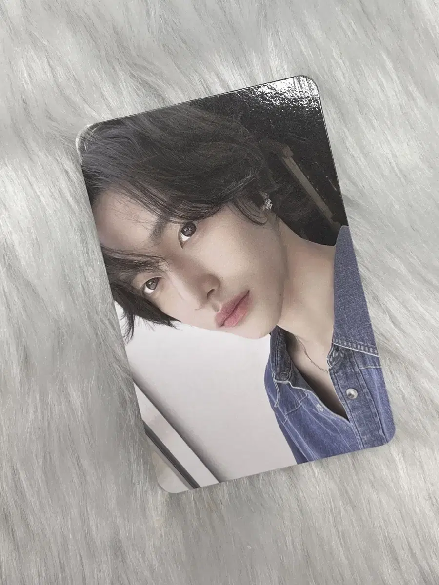 시그 원빈 포카 판매
