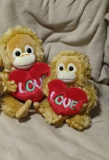 베이비 코코&너트 베이비 코코&너트 택 없음 하트
