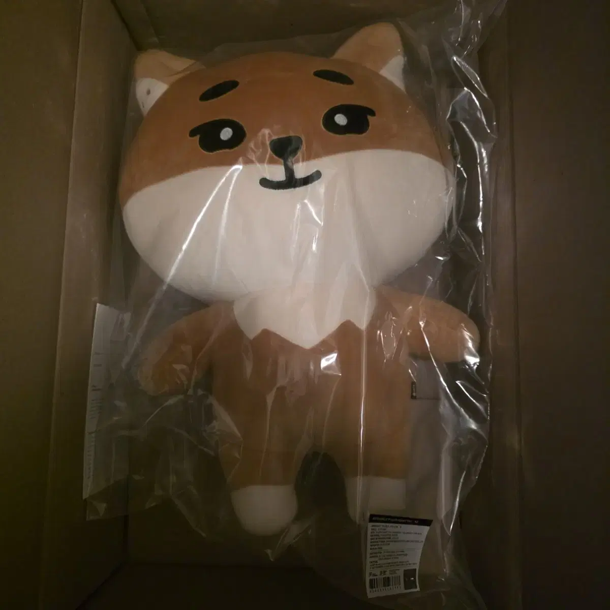 데이식스 자이언트 데니멀즈 케 영케이