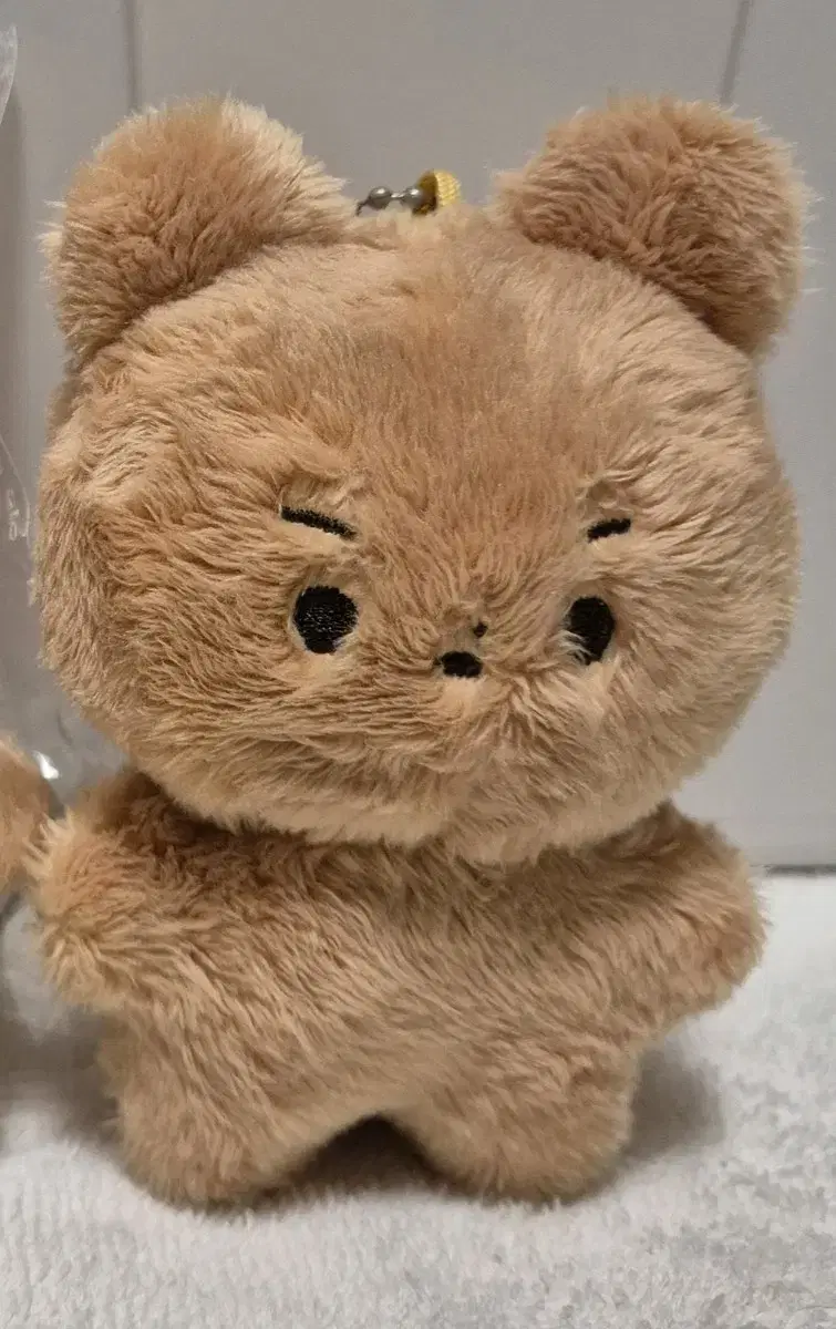더보이즈 현재 인형 달곰이