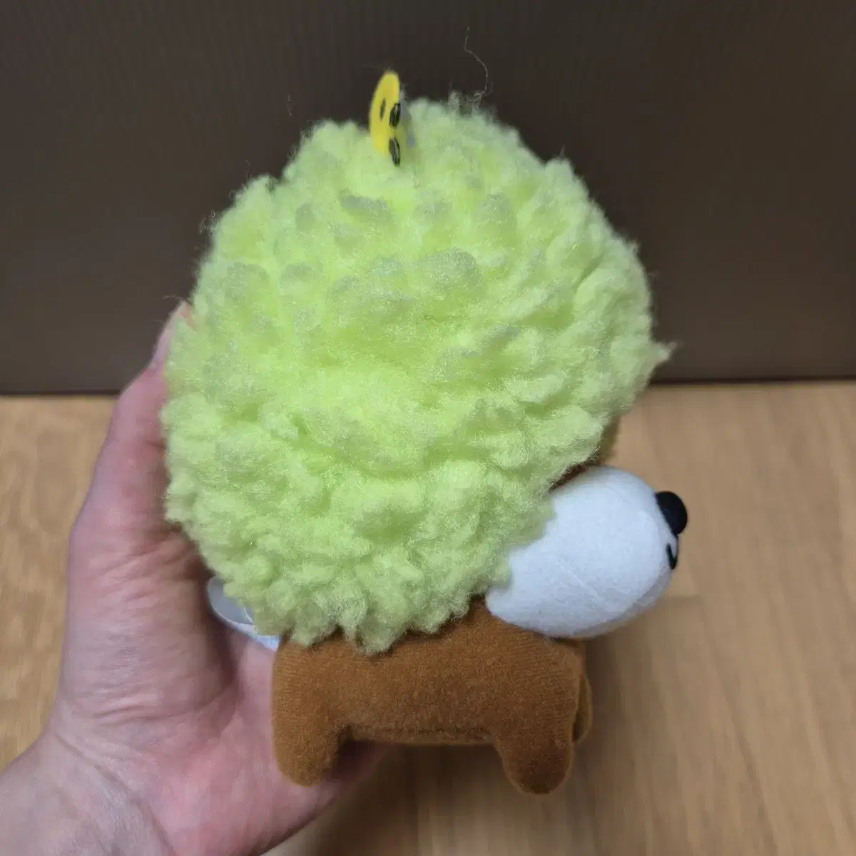 thumbnail-1