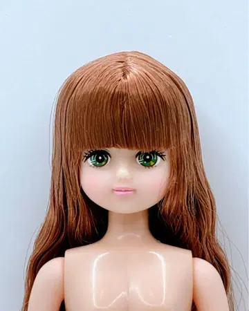 즐거운 인형 팔레트 f