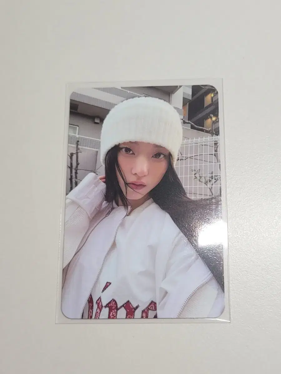뉴진스 해린 도쿄돔 포카 버니즈캠프
