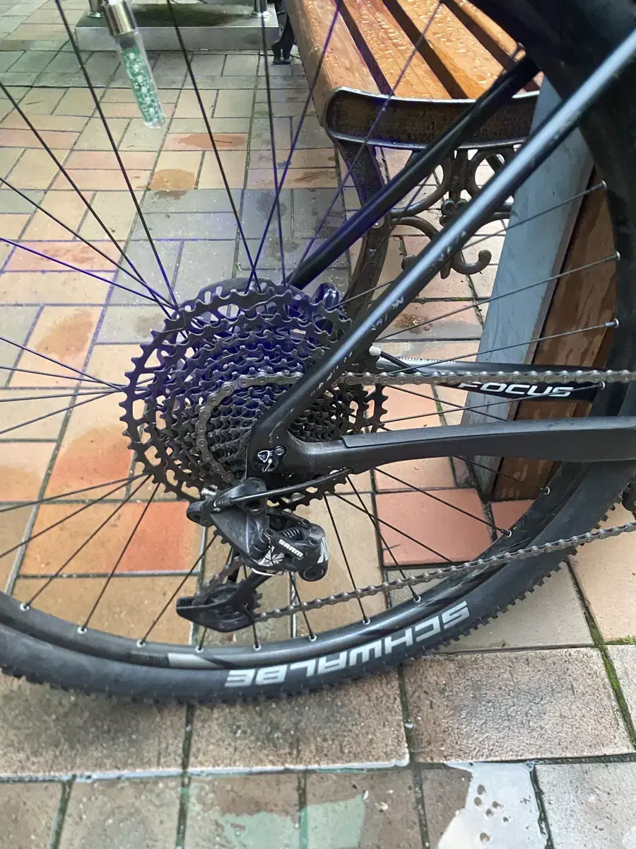 Focus Raven MTB bike for sale.