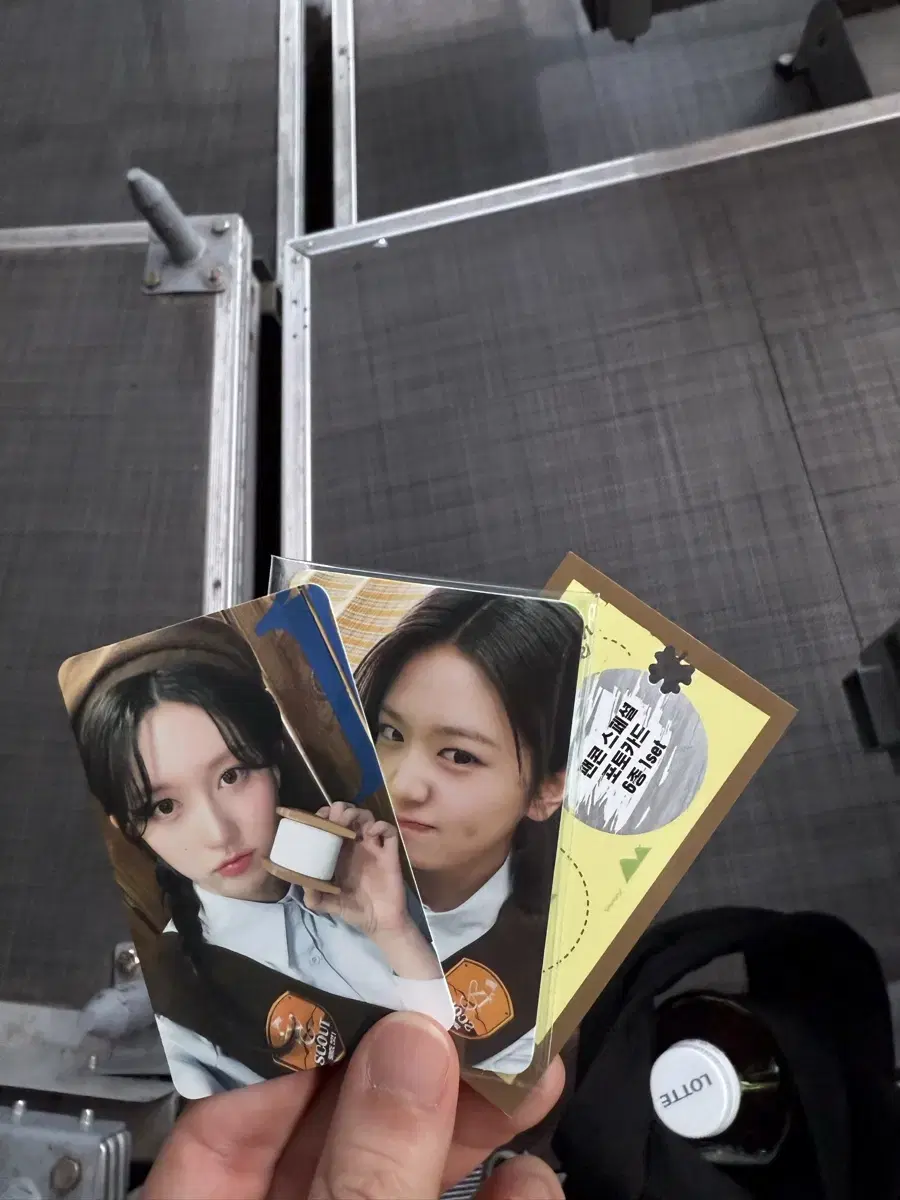 [최저가]아이브 팬콘 2일차 다이브존 가을, 6종세트