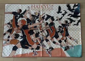 하이큐 카라스노 고교 빅 타월 원작 그림
