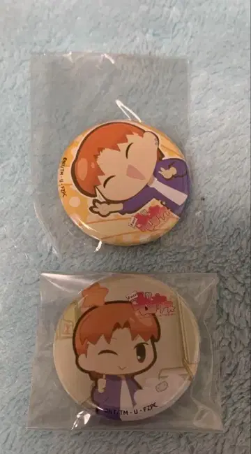 페이트제로 페이트 아메 류노스케 캔뱃지