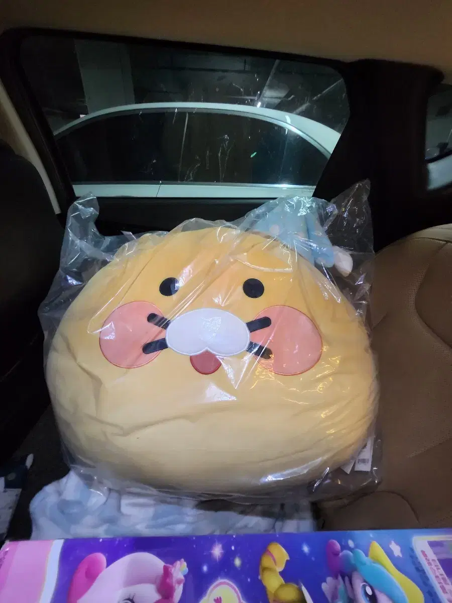 Chun-sik's Mega Face Cushion