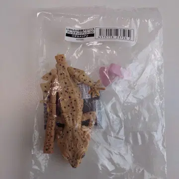 크레스티드 게코 달마시안 생물대도감 어드밴스 온라인판