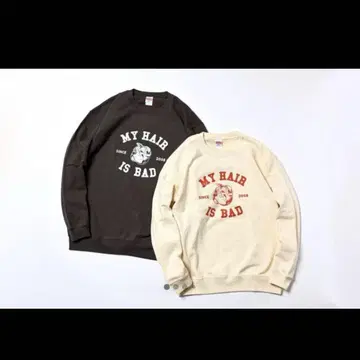 내 머리가 엉망이야 불독 칼리지 맨투맨 트레이닝복