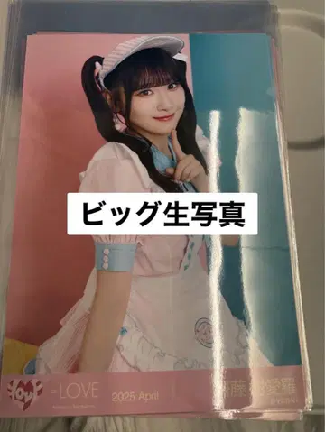 이코러브 이코노이조이 2024 다이너 의상 빅 생사진 사이토 키우라 츄