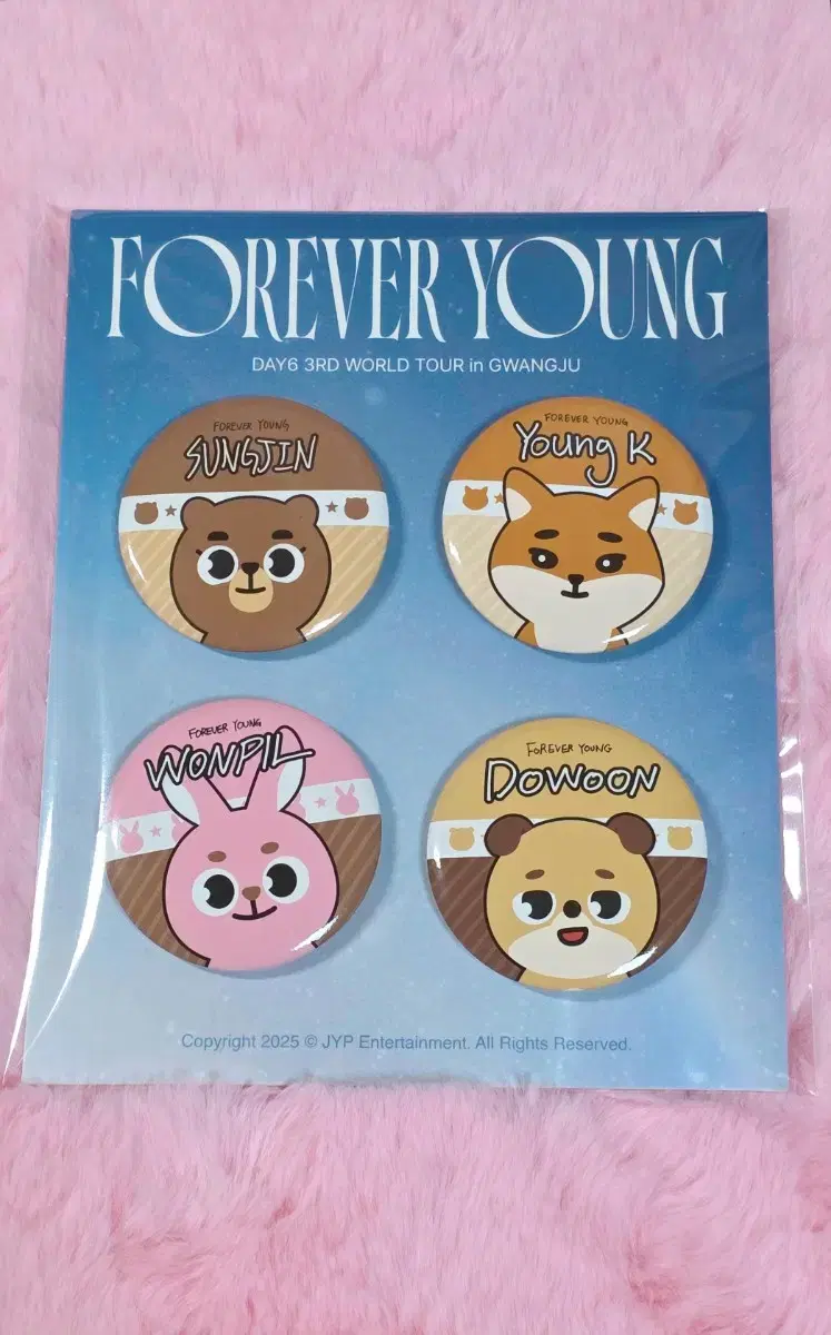 DAY6 Gwangju Concert Bangi Badge