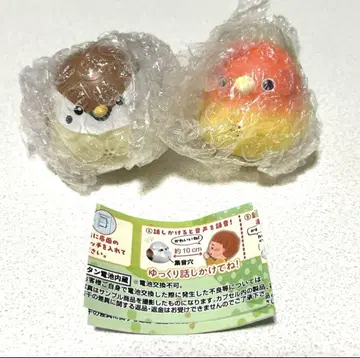 따라하기 깃털 깃털 깃털 참새 코자쿠라 잉꼬