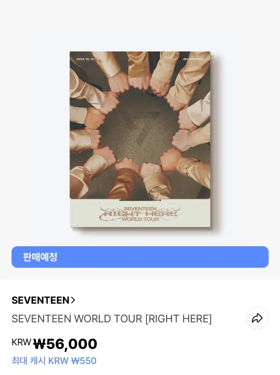 세븐틴 월드투어 라잇히어 디지털코드 포카 분철