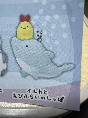 스미코구라시와 고베 스마 씨월드에서 만난 친구들