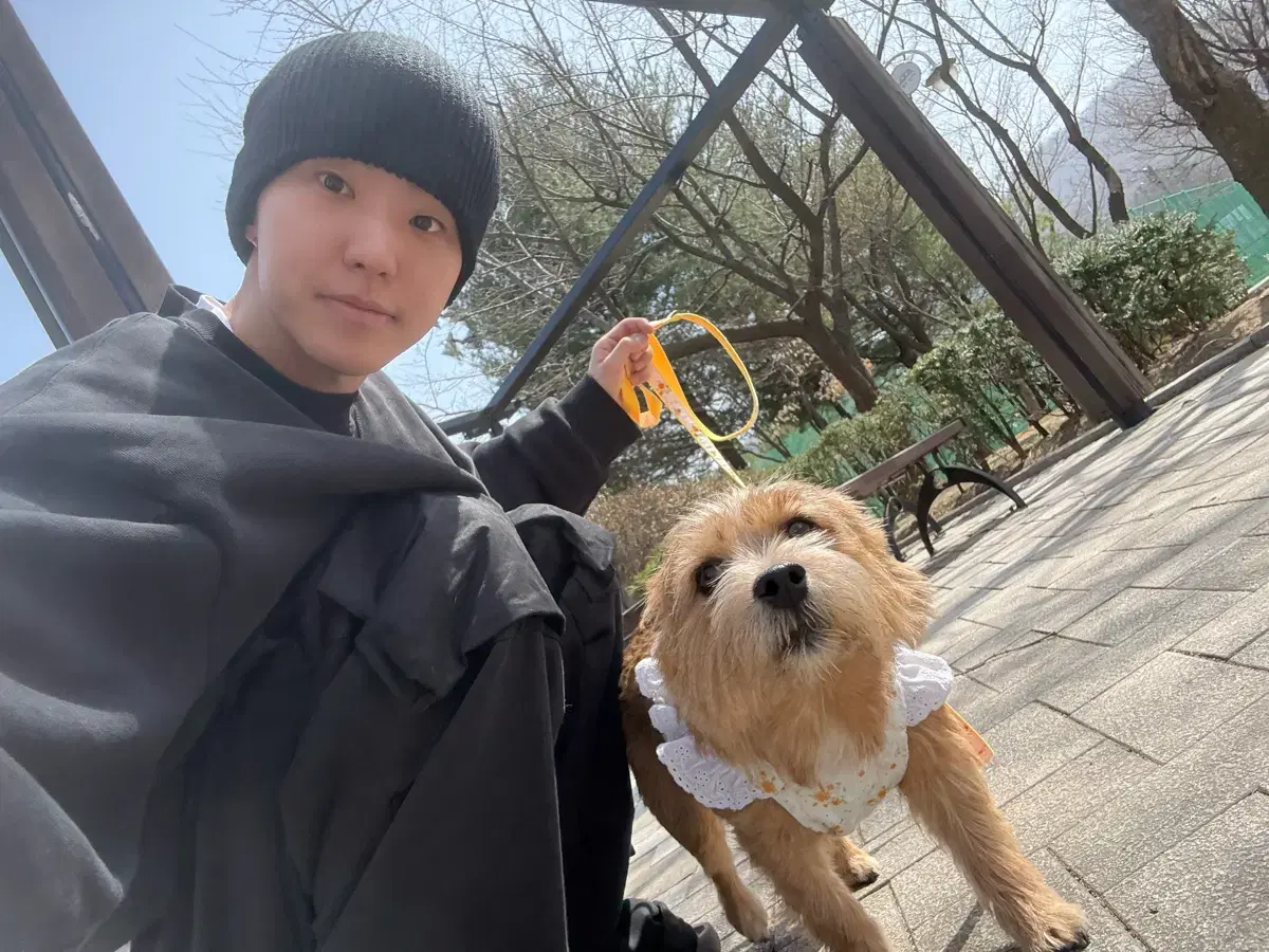 세븐틴 포카 140장 일괄판매