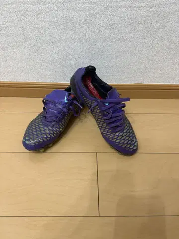 마지스타 오푸스 fg