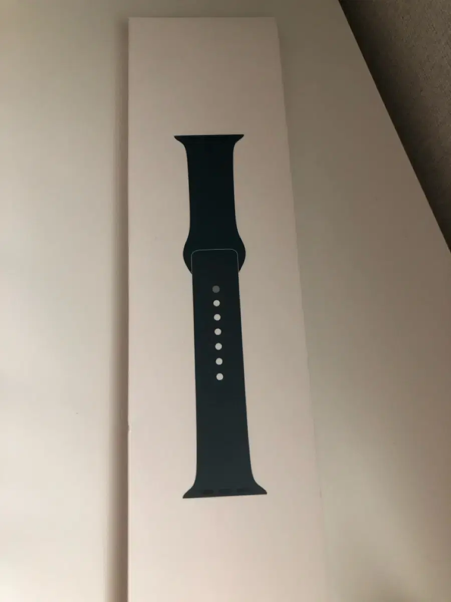 애플워치 정품 스포츠밴드 40mm 어비스블루
