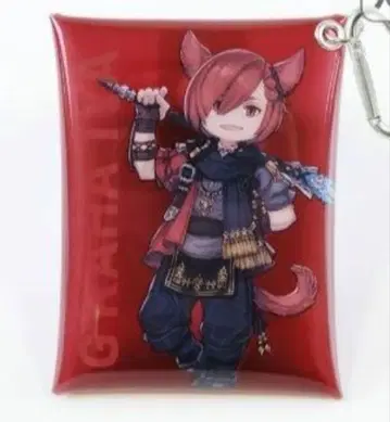 FF14 파이널 판타지 XIV 클리어 멀티 케이스 그라하 티어