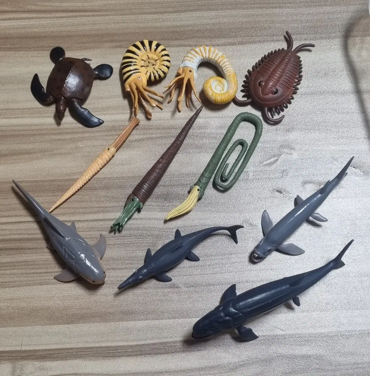 Collecta Mini Ancient Creature Figures