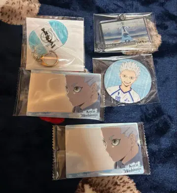 하이큐 별의 빛이 찾아옴 정리