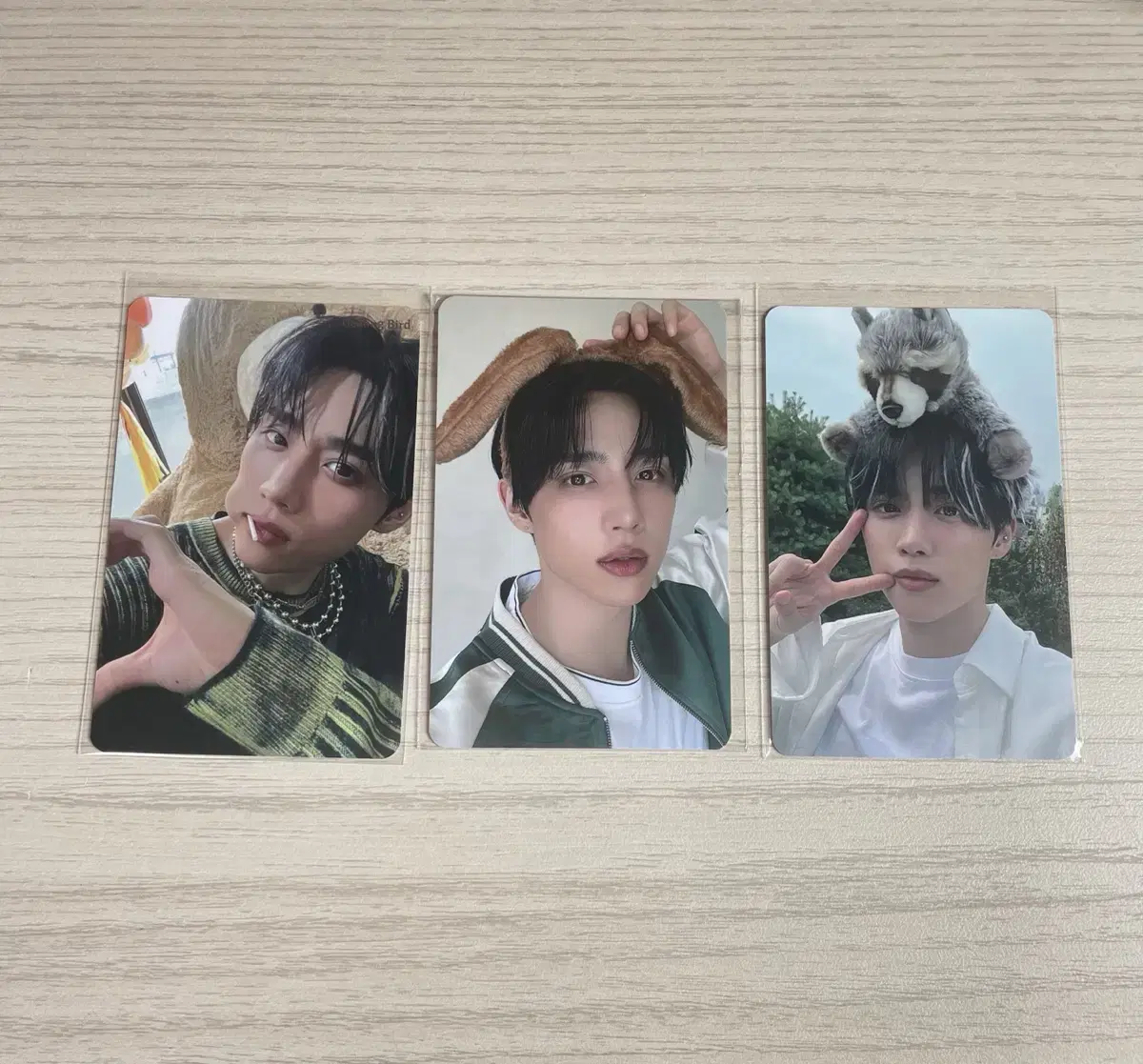 힐링버드 더보이즈 선우 포카