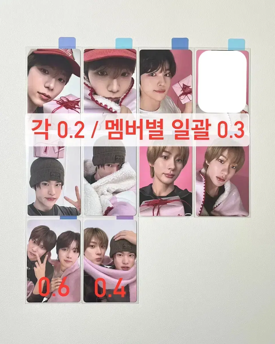 라이즈 핑크 크리스마스 트레카 쇼타로 성찬 소희 앤톤 영원즈 또토리
