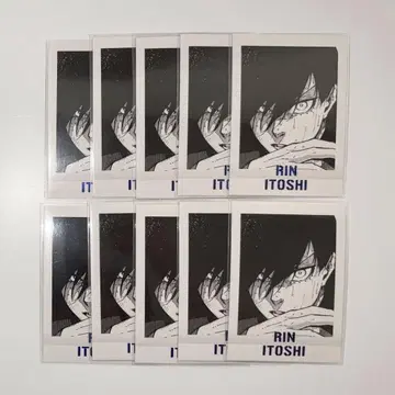 블루 록 블루 록 전 파샤코레 프리미엄 이토시 린 10장