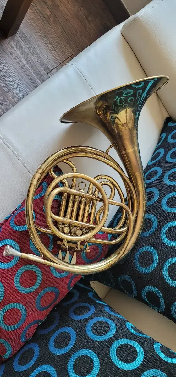 horn