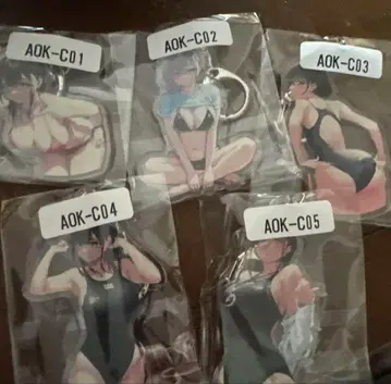 웹 복권 웹 복권 아크릴 키링 아오 활동 일지 5종