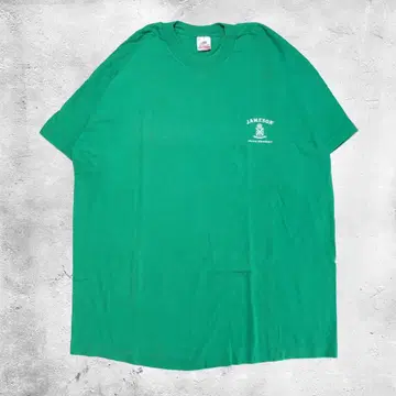 90년대 FRUIT OF THE LOOM 티셔츠 JAMESON USA제