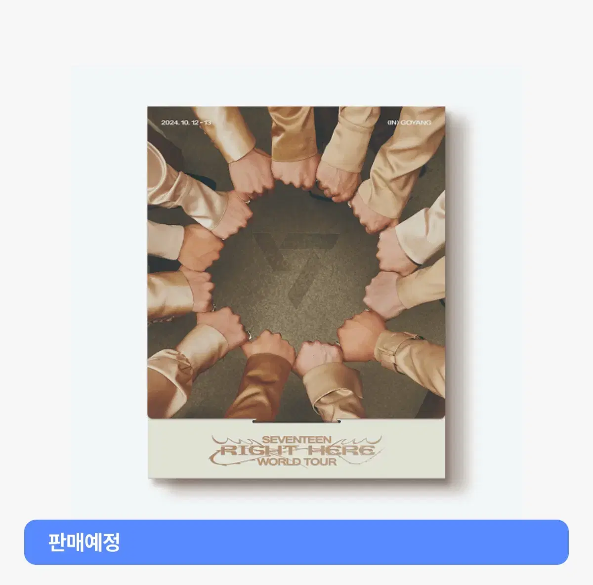 세븐틴 라잇히어 seventeen 메모리북 디지털코드 고양콘 디코 분철