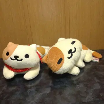 고양이 모음집 쿠리무상